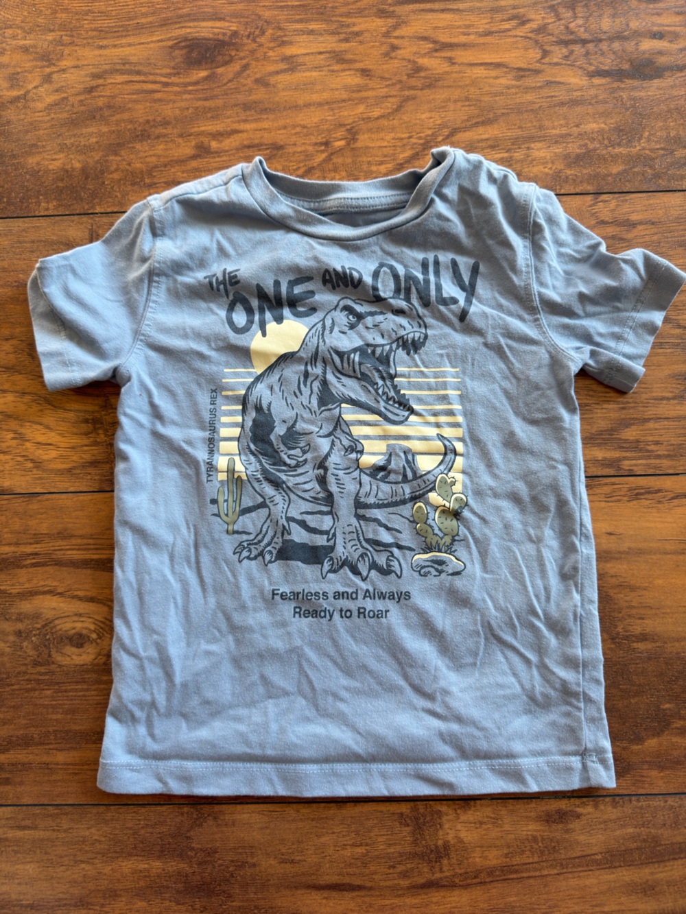 Light Blue Dino Graphic Short Sleeve Tee for Kids